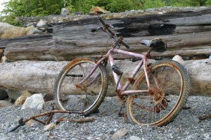 old rusty bike
